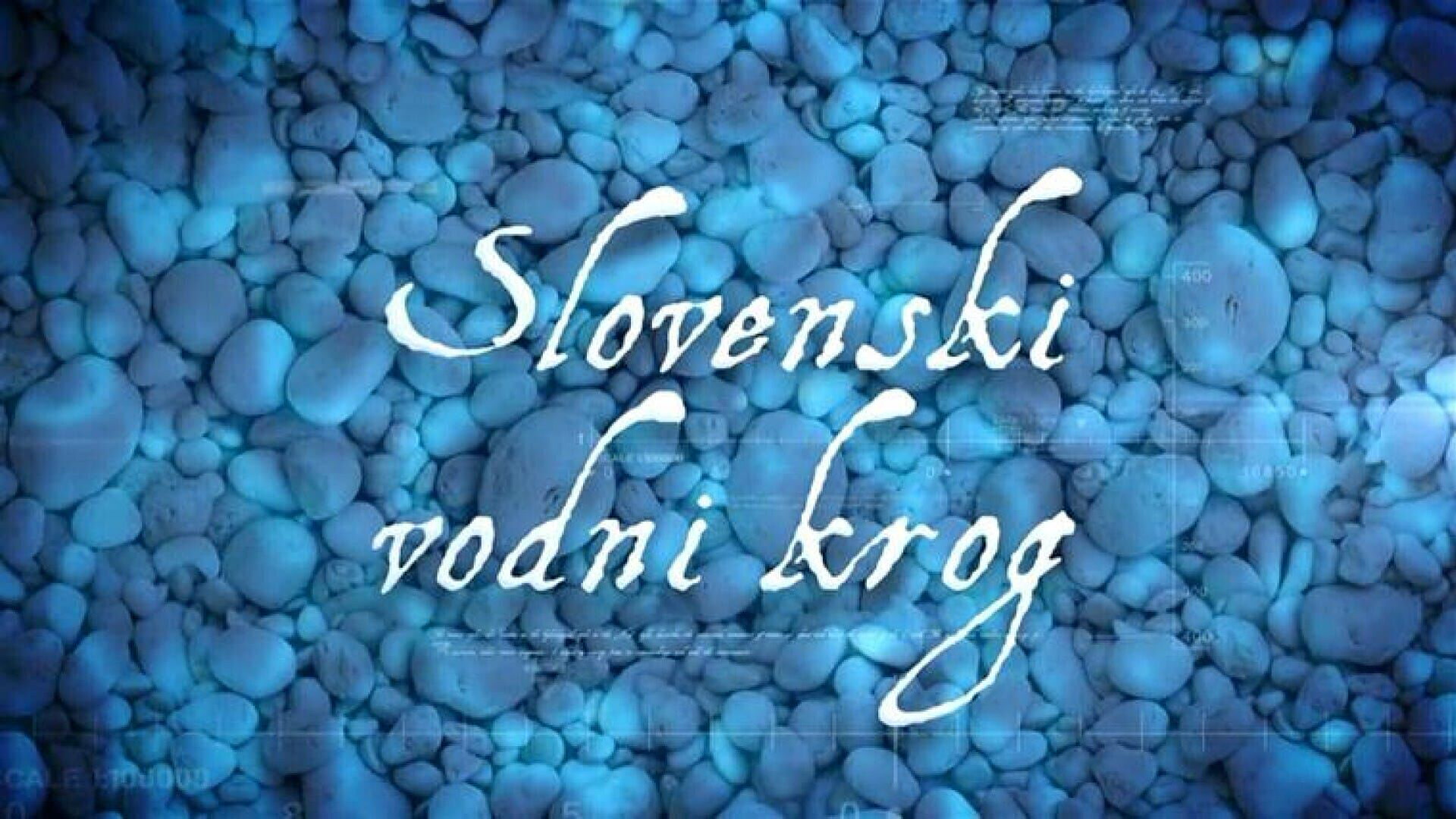 Vodni krog zgornje Drave