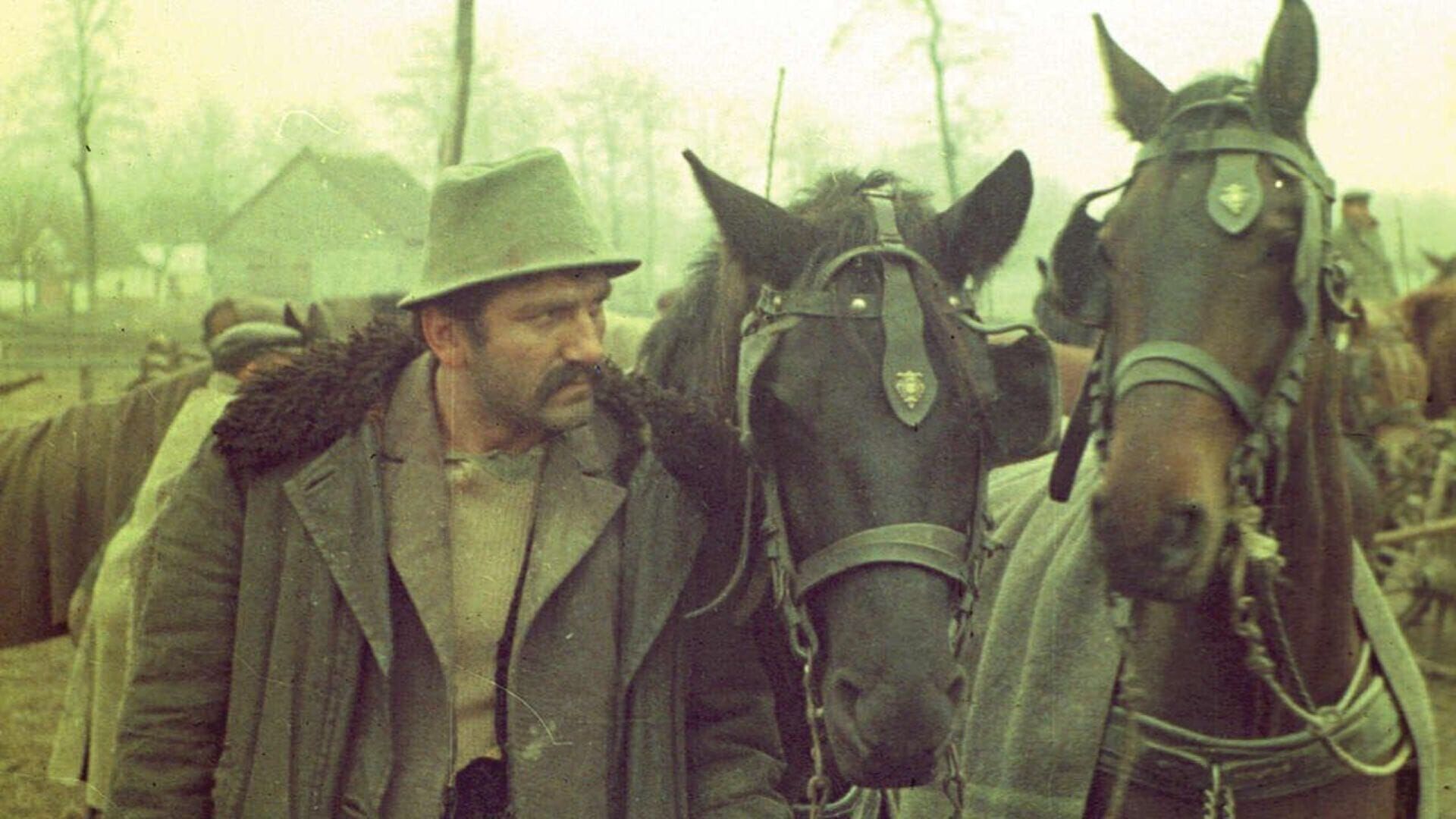 Skupljači perja