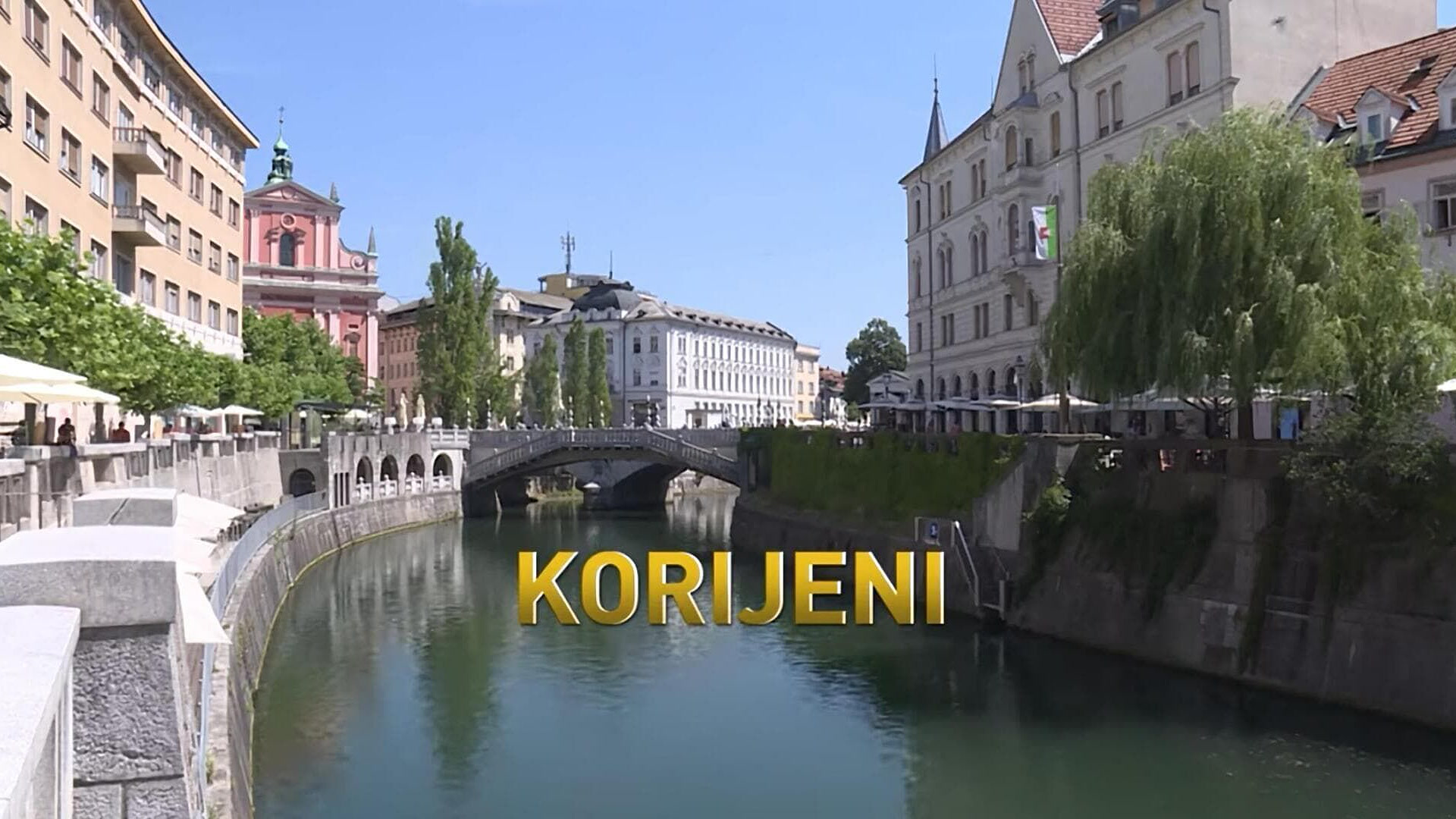 Korijeni