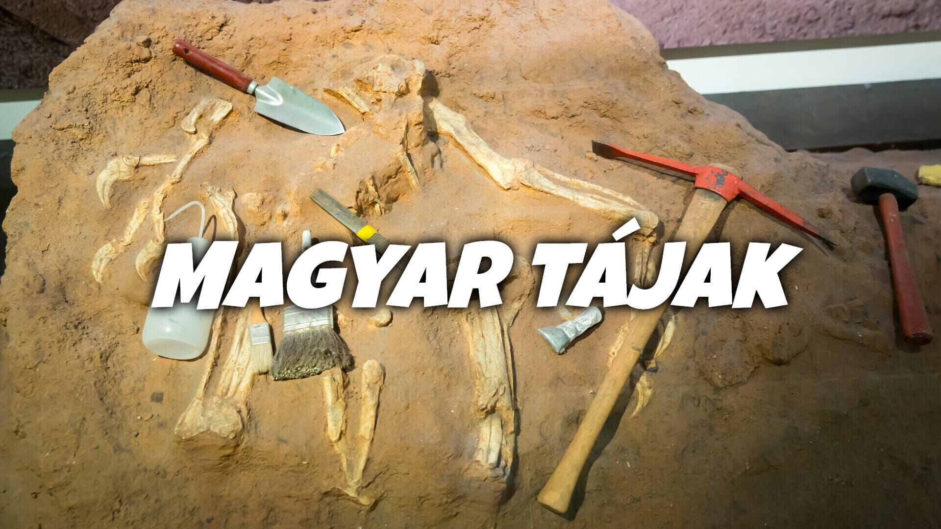 Magyar tájak