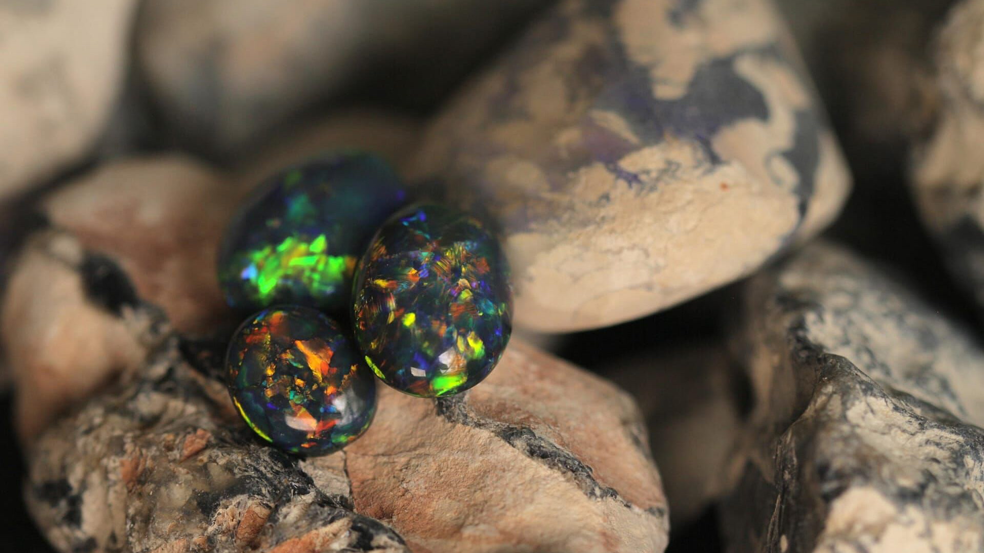 Australski lovci na opal