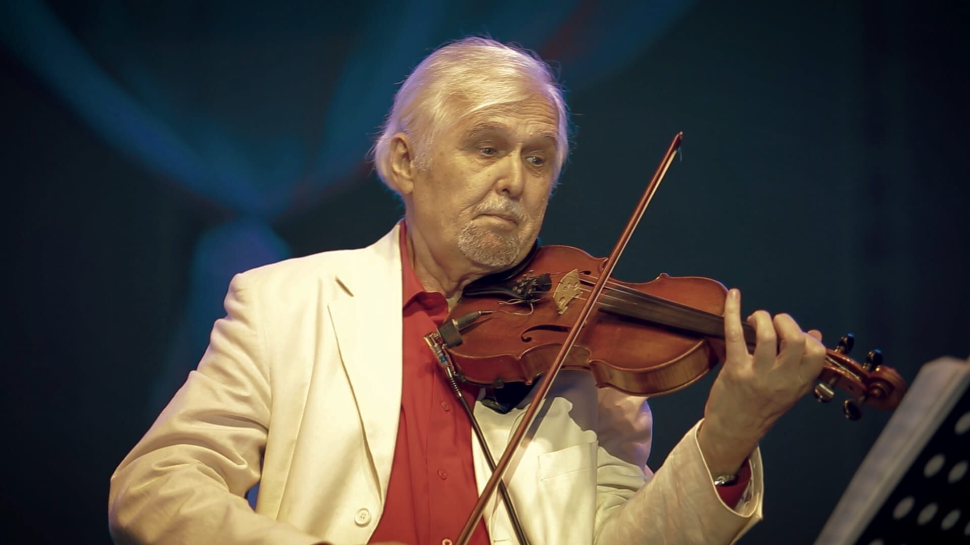 Hegedűország.hu