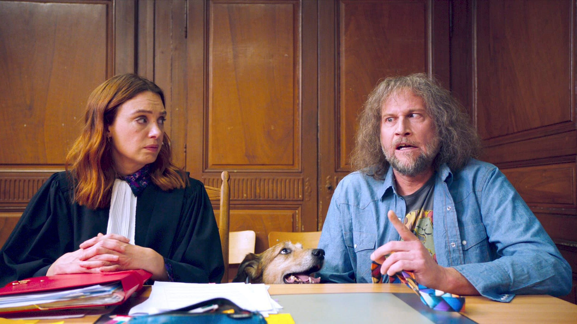 Kino Festival: Pas na sudu