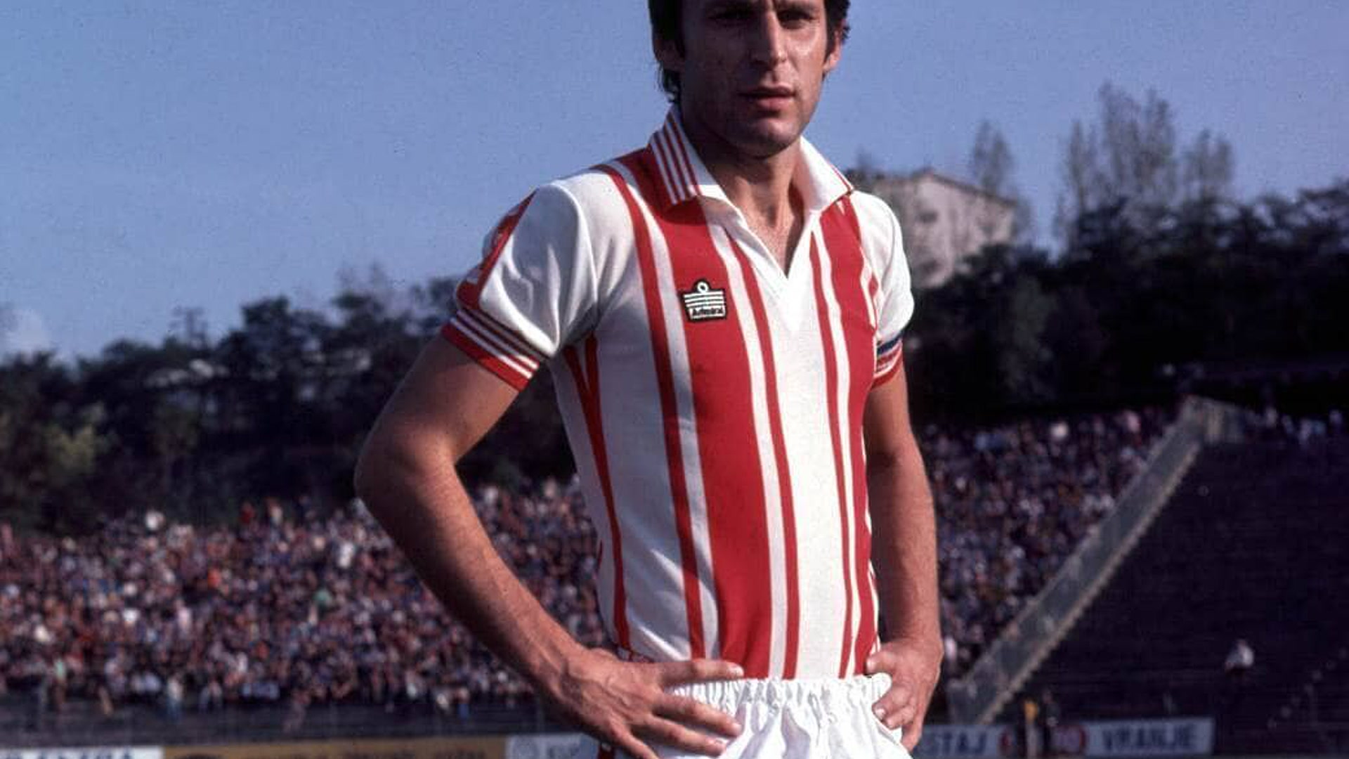 Dragan Džajić