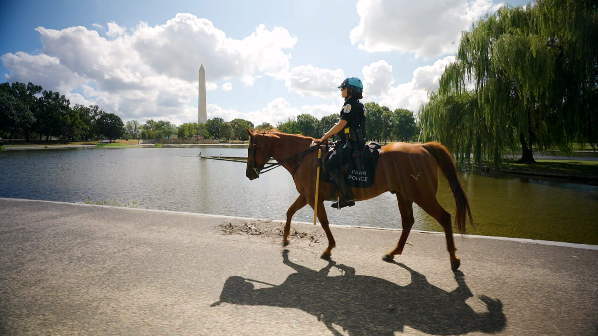 Washington, D.C. - More than Politics and Monuments